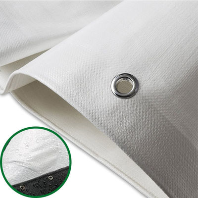 Ligeiro 160gm 240gm PE Folhas de lonas resistentes à água UV Prevenção de lonas PE Roll Double Green