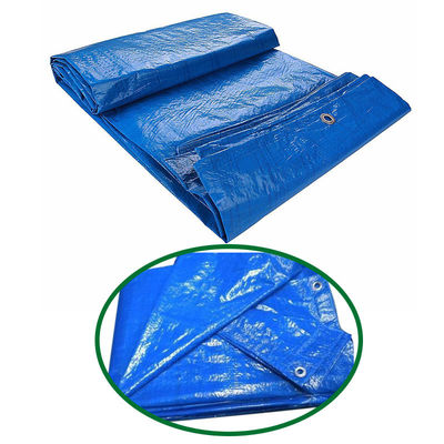 Ligeiro 160gm 240gm PE Folhas de lonas resistentes à água UV Prevenção de lonas PE Roll Double Green