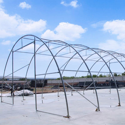Litong Estufas agrícolas ao ar livre Planta de jardim Transparente Poly Túnel Armazém Plástico de PVC